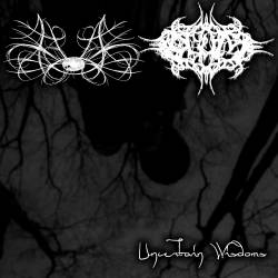 Olum : Uncertain Wisdoms